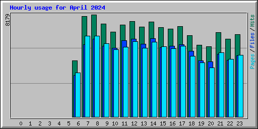 Hourly usage for April 2024
