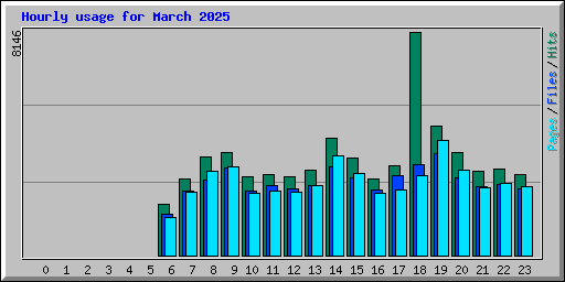 Hourly usage for March 2025