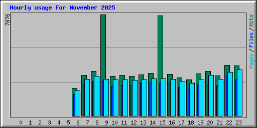Hourly usage for November 2025